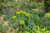 /album/philemons-garten-9-mai-2026/philemons-garten-09-05-2026-14-jpg/